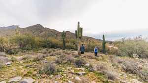 Two hikers walk a rocky desert trail among tall cacti and scrub with distant hills on a cloudy day.”